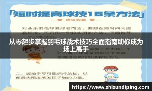 从零起步掌握羽毛球战术技巧全面指南助你成为场上高手