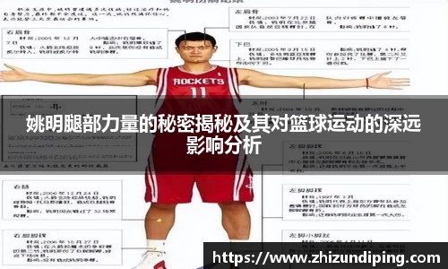 金年会体育官网