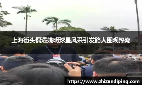金年会体育官网